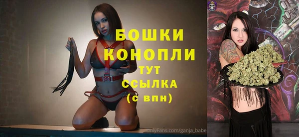 шишки Аркадак