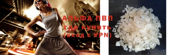 шишки Аркадак