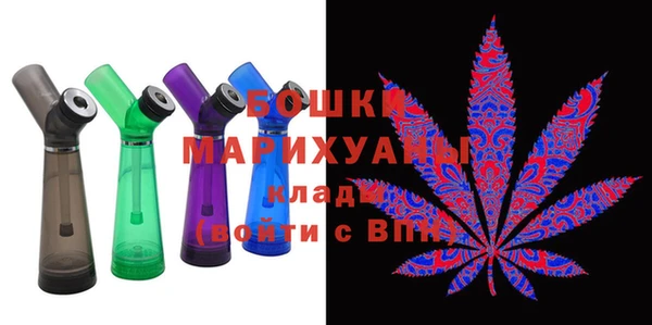 шишки Аркадак