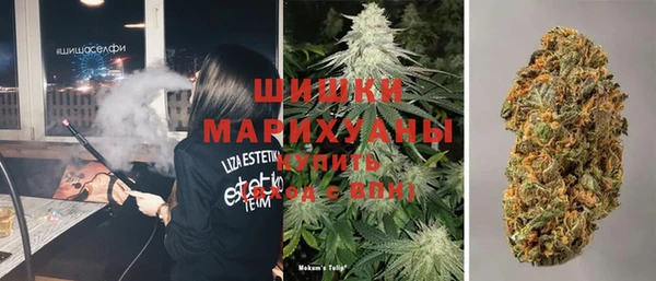шишки Аркадак