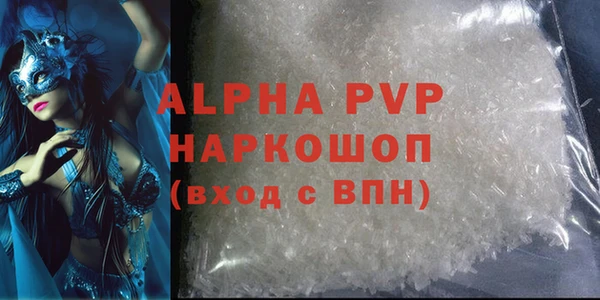 шишки Аркадак
