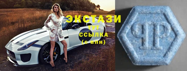 шишки Аркадак